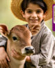 Customized Bakra Eid T-Shirts in Pakistan